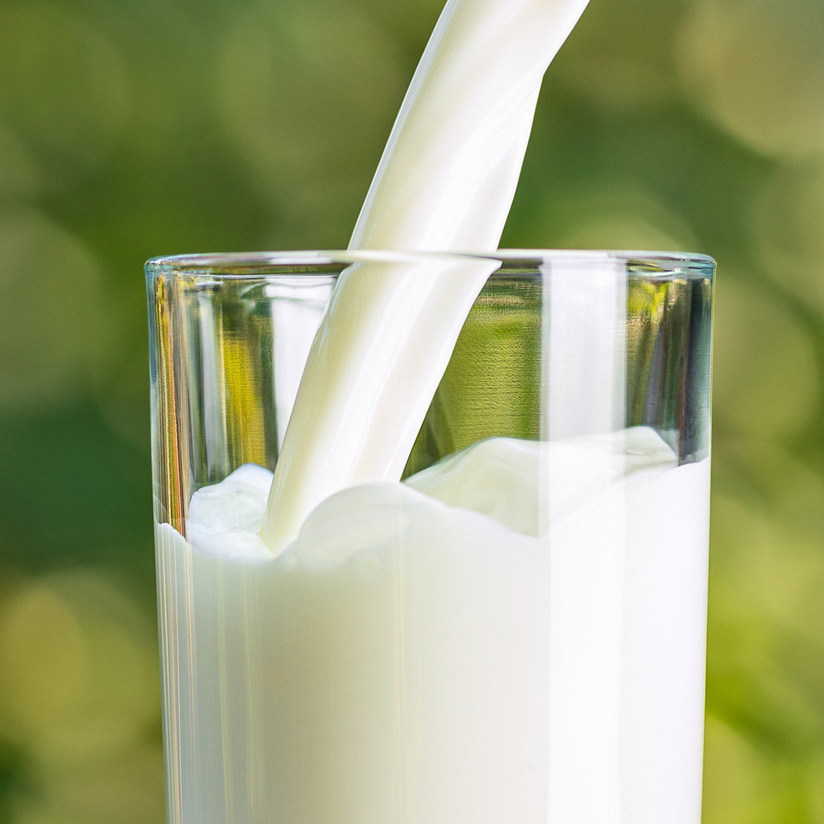 3-Month Emergency Food Supply